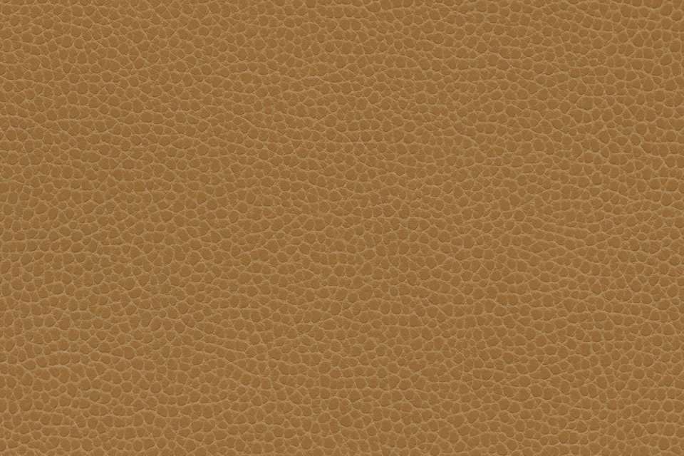 OFS - Promessa Camel